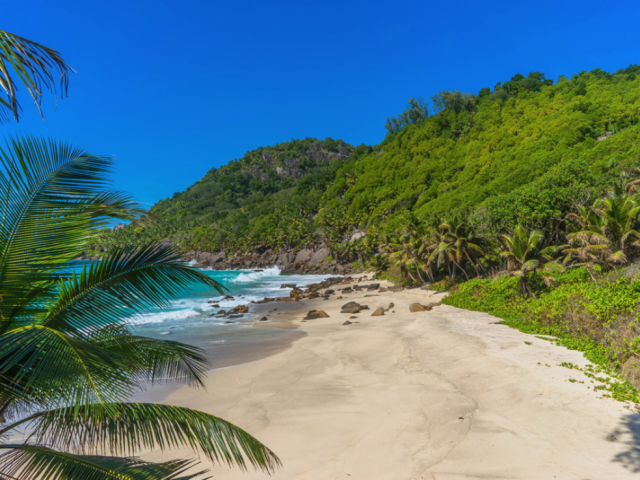 Exclusive 101 Hectare Plot of Land for Commercial Development for Sale in Seychelles