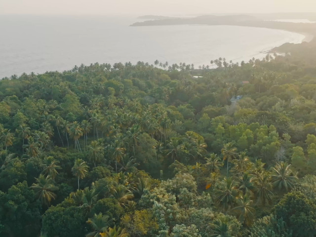 Stunning 7080 m² Coastal Oceanview Parcel for Residential or Commercial Development in Tangalle, Sri Lanka