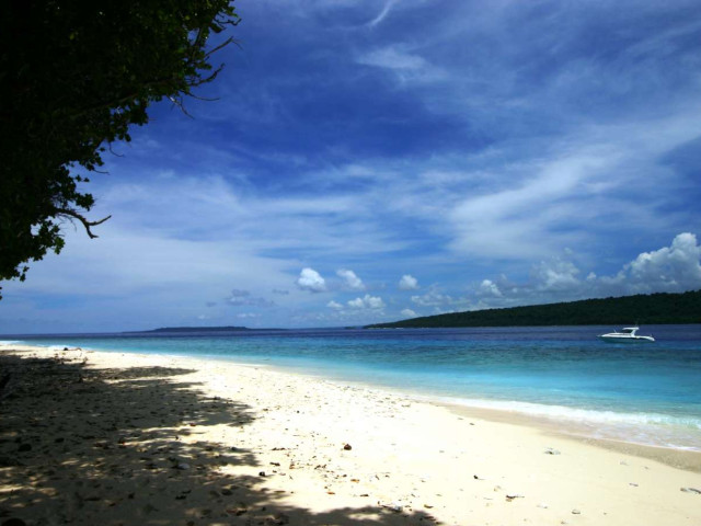 134 Hectare Virgin Island for Sale in Vanuatu