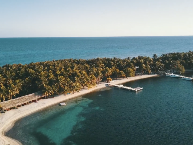 Private Island Resort & PADI 5-Star Gold Palm Dive Center for Sale on Glover's Reef Atoll, Belize
