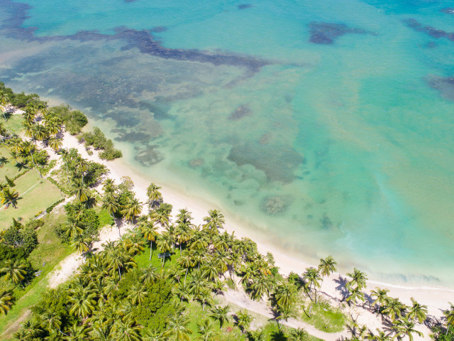 Beachfront Lot For Sale in Gated Community Near Las Terrenas (Lot D)