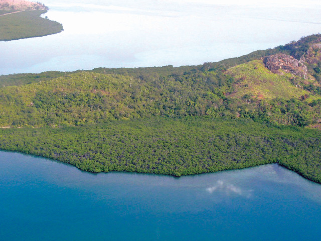 60 Hectare Private Virgin Island for Sale in Fiji