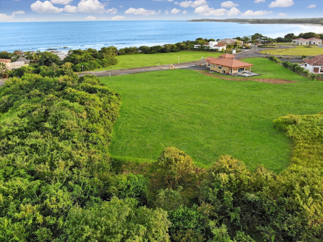 Private 1,501 m² Freehold Seaview Lot for Sale on Costa Pedasi, Panama
