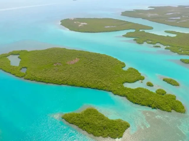 Morgan's Caye — 32 Acres of Private Virgin Island for Sale in Belize