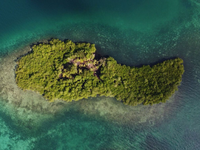 Partially Developed 9,000 m² Private Island with Boats for Sale in Bocas del Toro, Panama