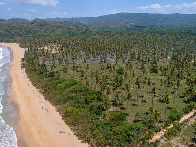 Approximately 200 Hectares of Land for Commercial or Tourism Development for Sale Near Las Terrenas, the Dominican Republic