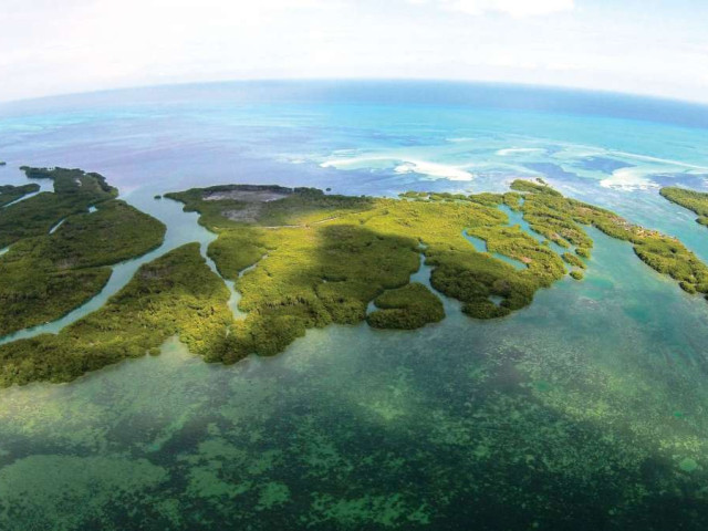 Montego Caye — 120 Acres of Private Virgin Island for Sale in Belize
