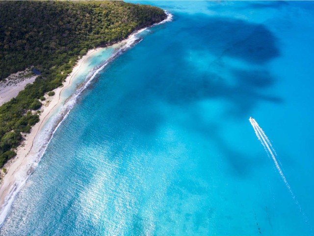 Massive 161 Hectare Plot of Land for Sale in Antigua