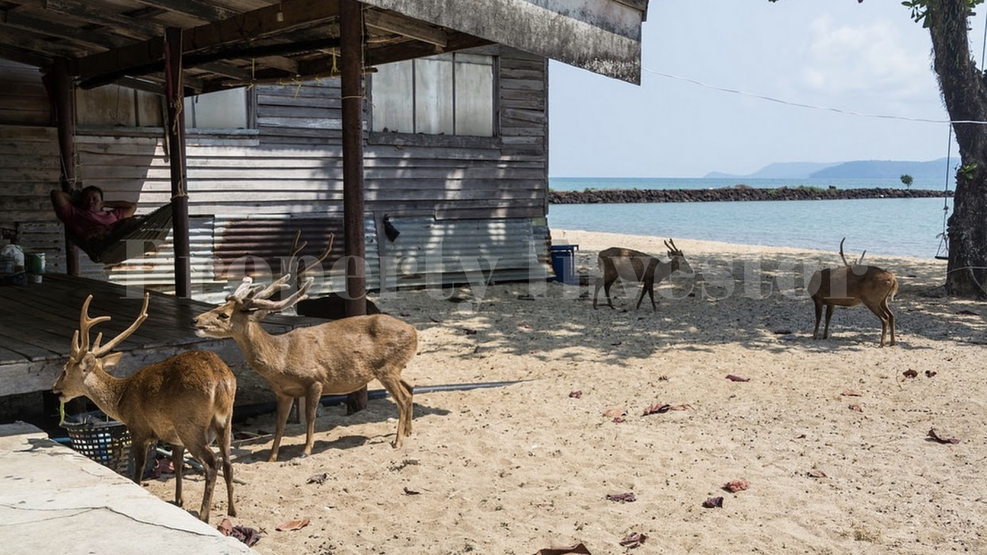 Большой тропический остров 192 гектара под коммерческое развитие или частную резиденцию в Тайланде