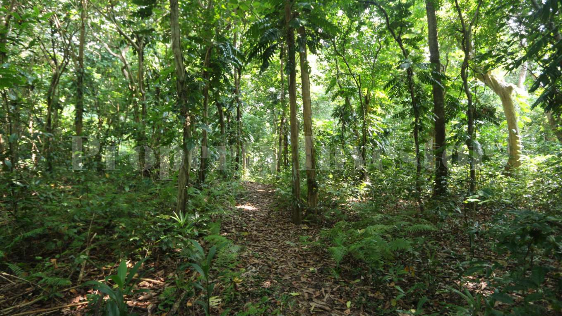 Wonderfully Lush 10.6 Hectare Private Island with Residence for Sale in Vanuatu