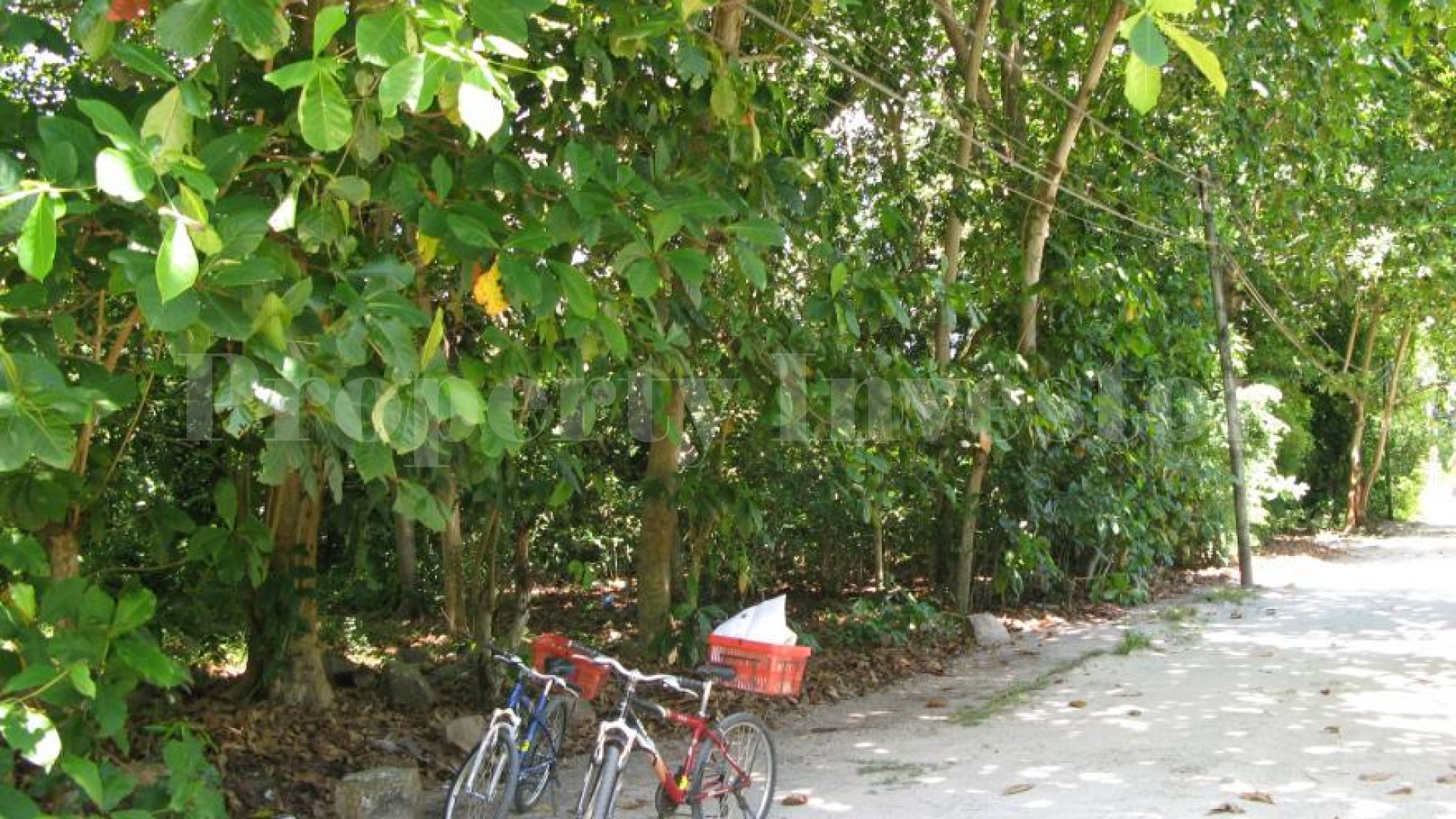 0.3 Hectare Piece of Paradise for Sale in La Digue, Seychelles