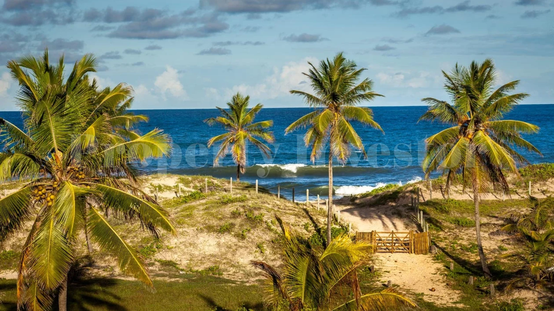 Exclusive 6 Suite Luxury Beachfront Coconut Oasis Retreat on 30 Hectare Parcel for Sale in Bahia, Brazil