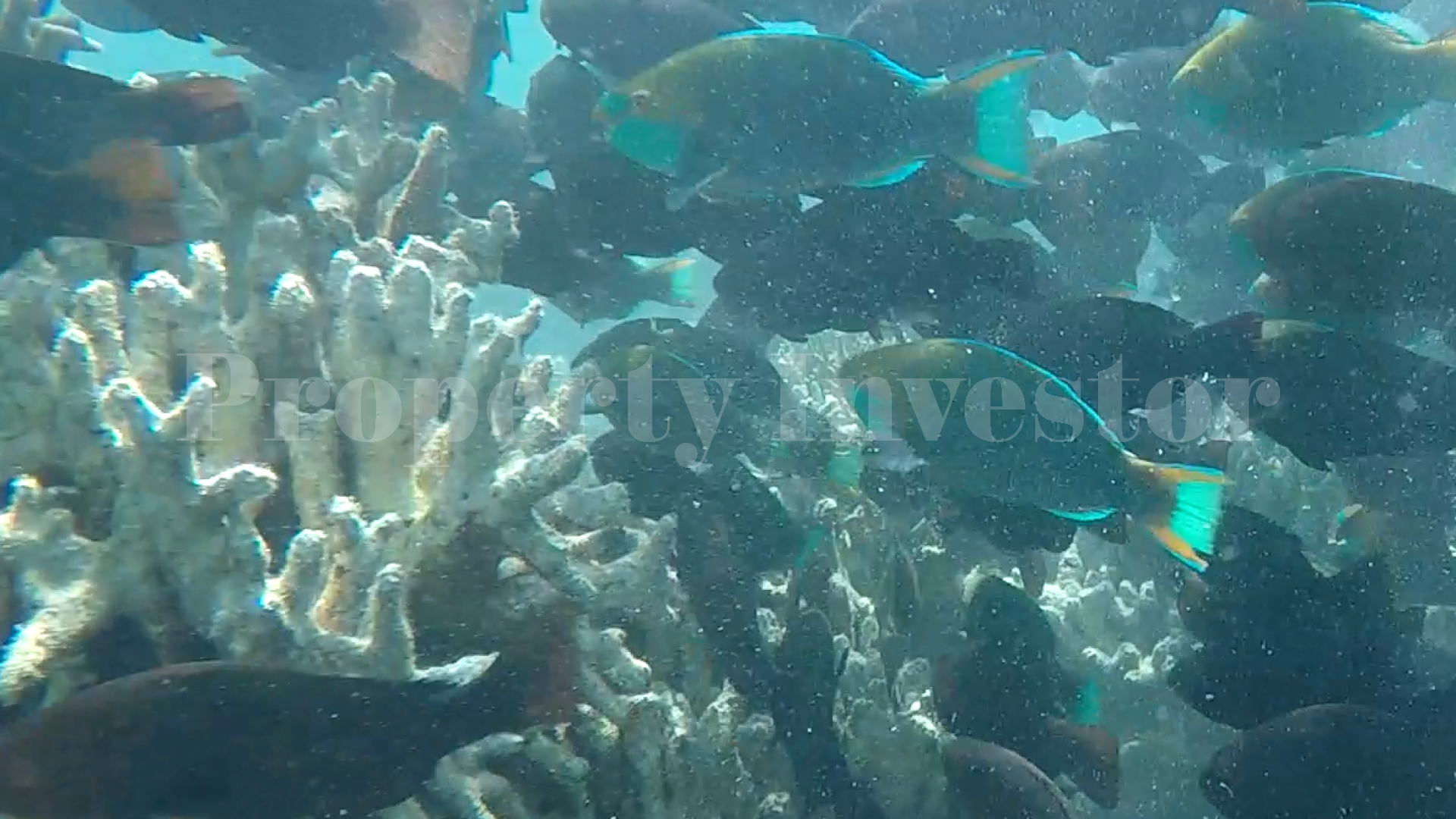 Stunning 5 Hectare Private Virgin Tropical Island for Commercial or Residential Development in the Riau Islands, Indonesia