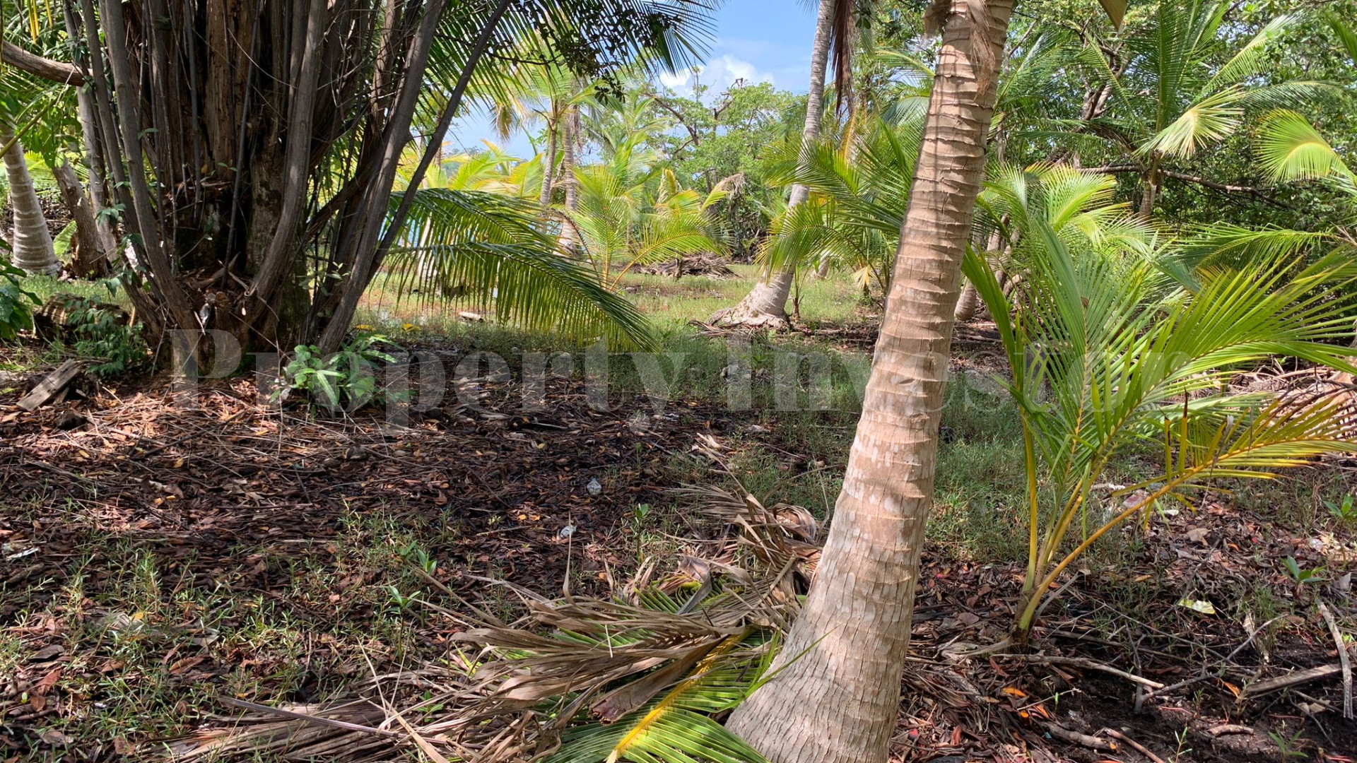 Partially Developed 9,000 m² Private Island with Boats for Sale in Bocas del Toro, Panama