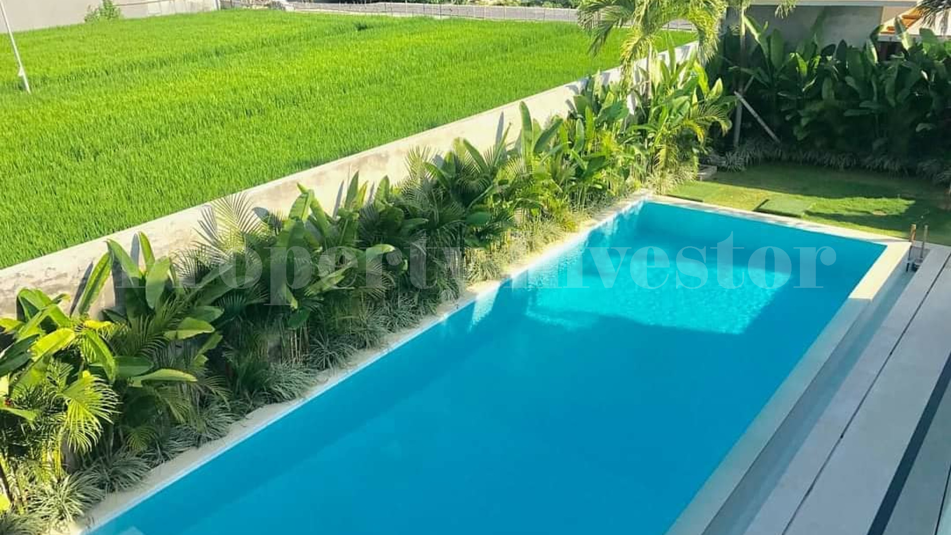Comfortable 5 Bedroom Contemporary Beach Villa for Sale in the Heart of Canggu, Bali