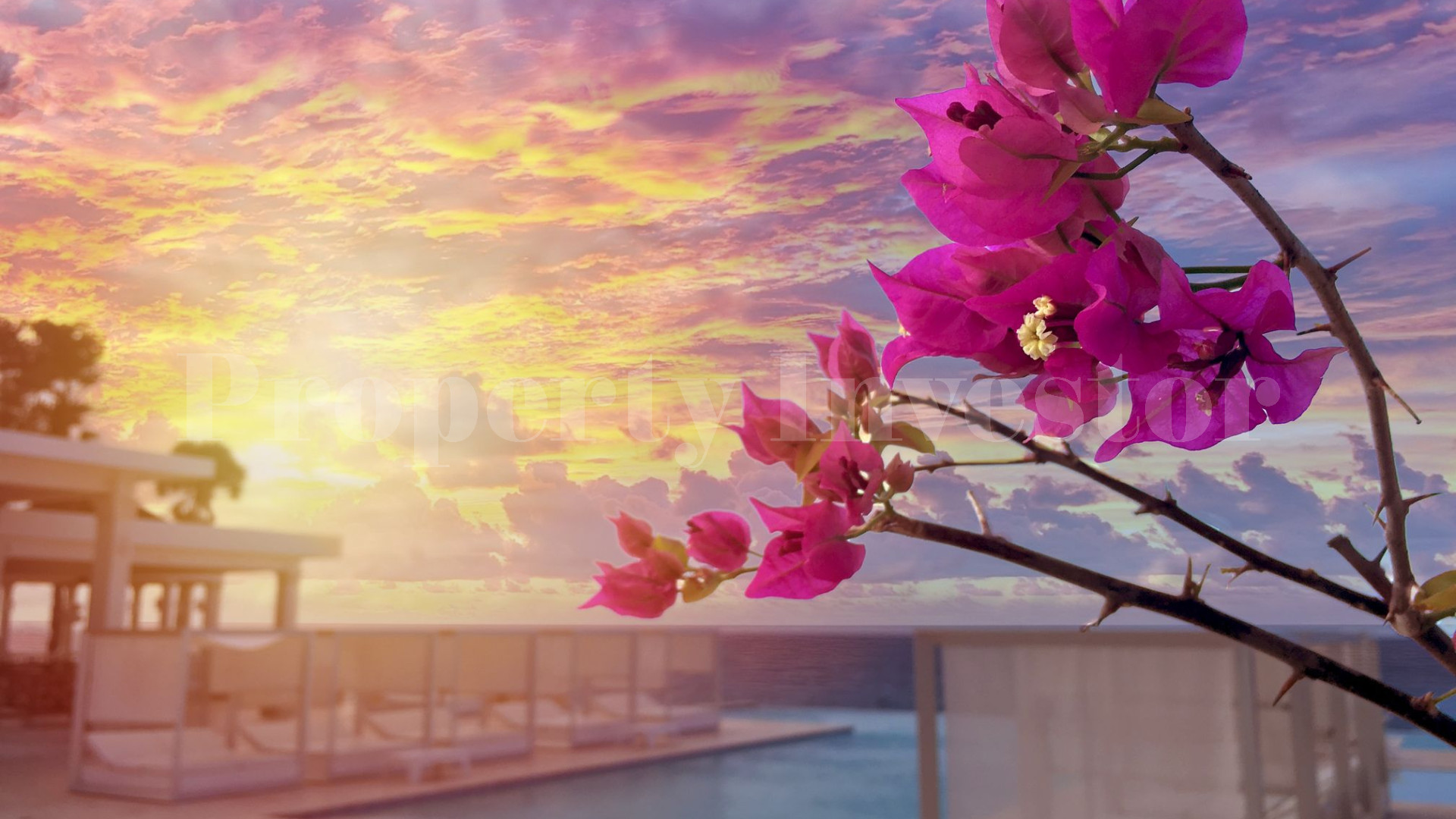 Freehold Lot on the Dominican Republic's Northern Coast with 10 Year Financing (Lot 36)