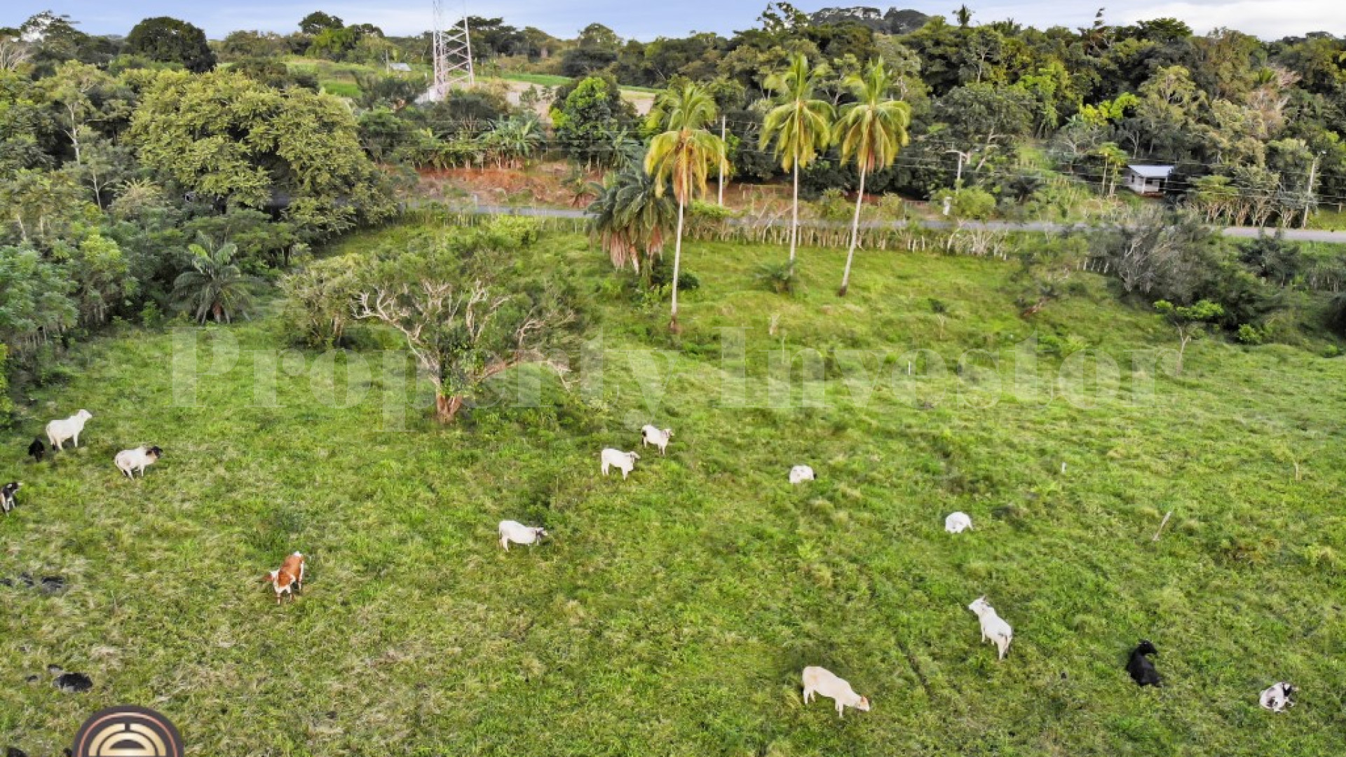 5 Hectares With Ocean View