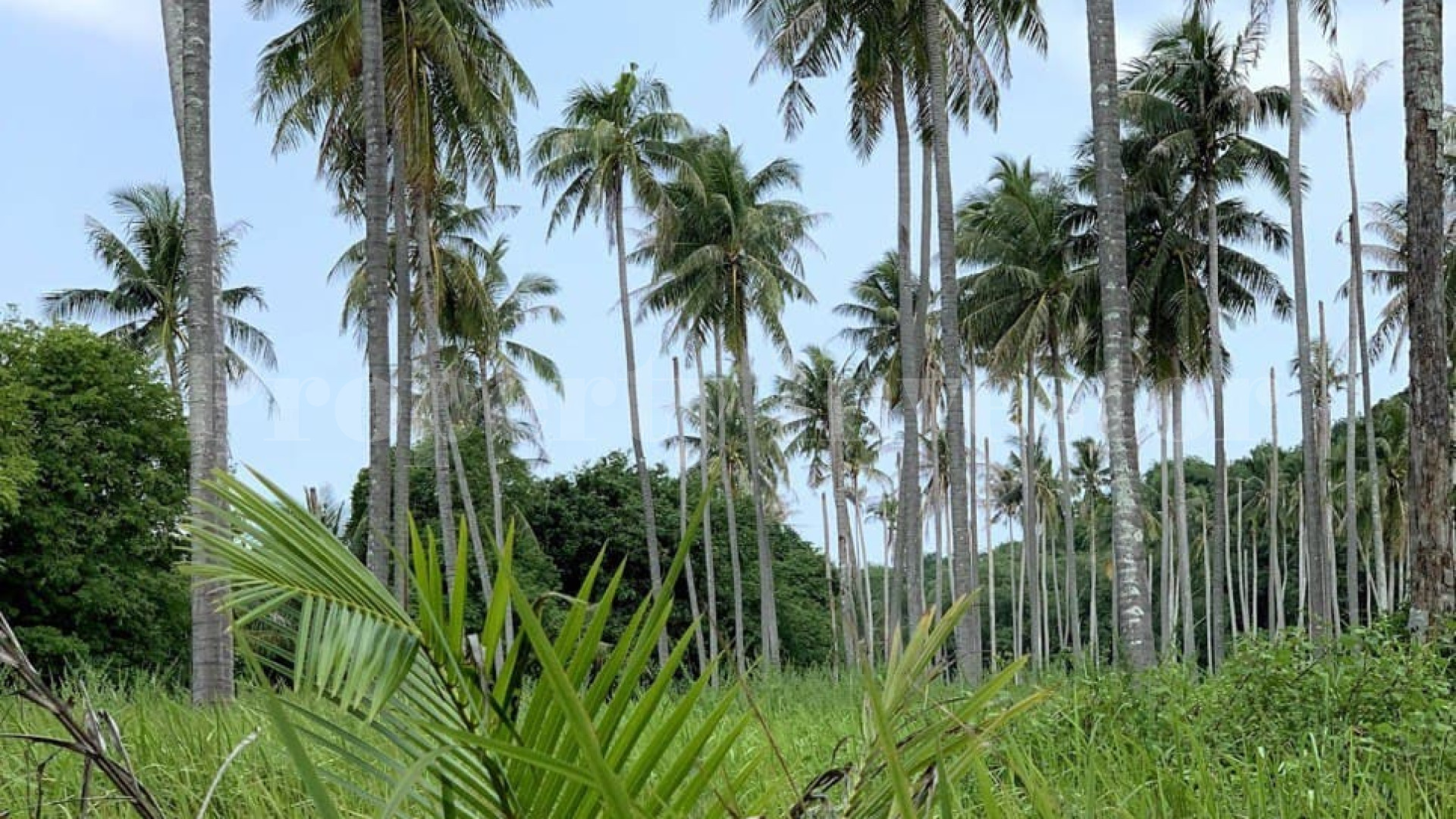 Private 44.5 Hectare Private Virgin Island Paradise for Development in Thailand