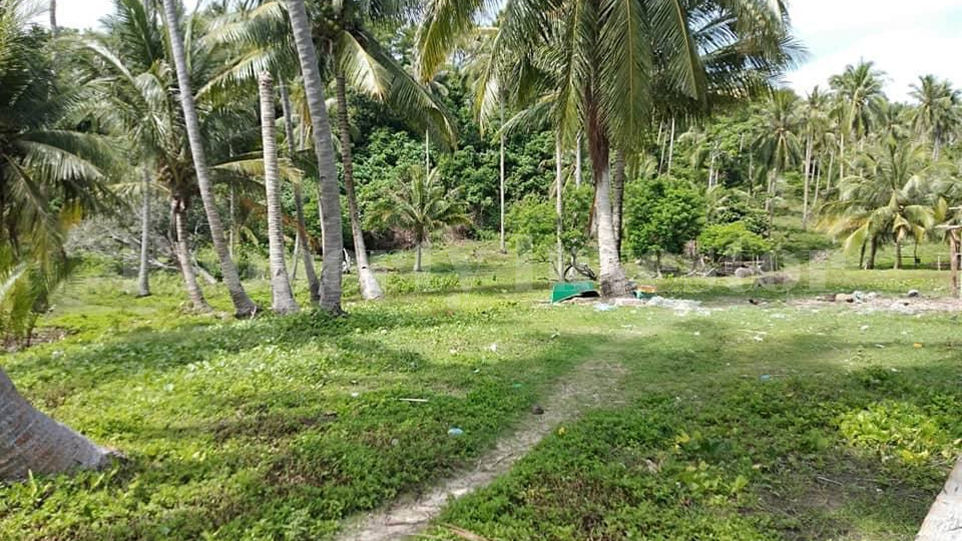 Exclusive 20.8 Hectare Parcel of Beautiful Beachfront Land for Sale in Balabac, Palawan