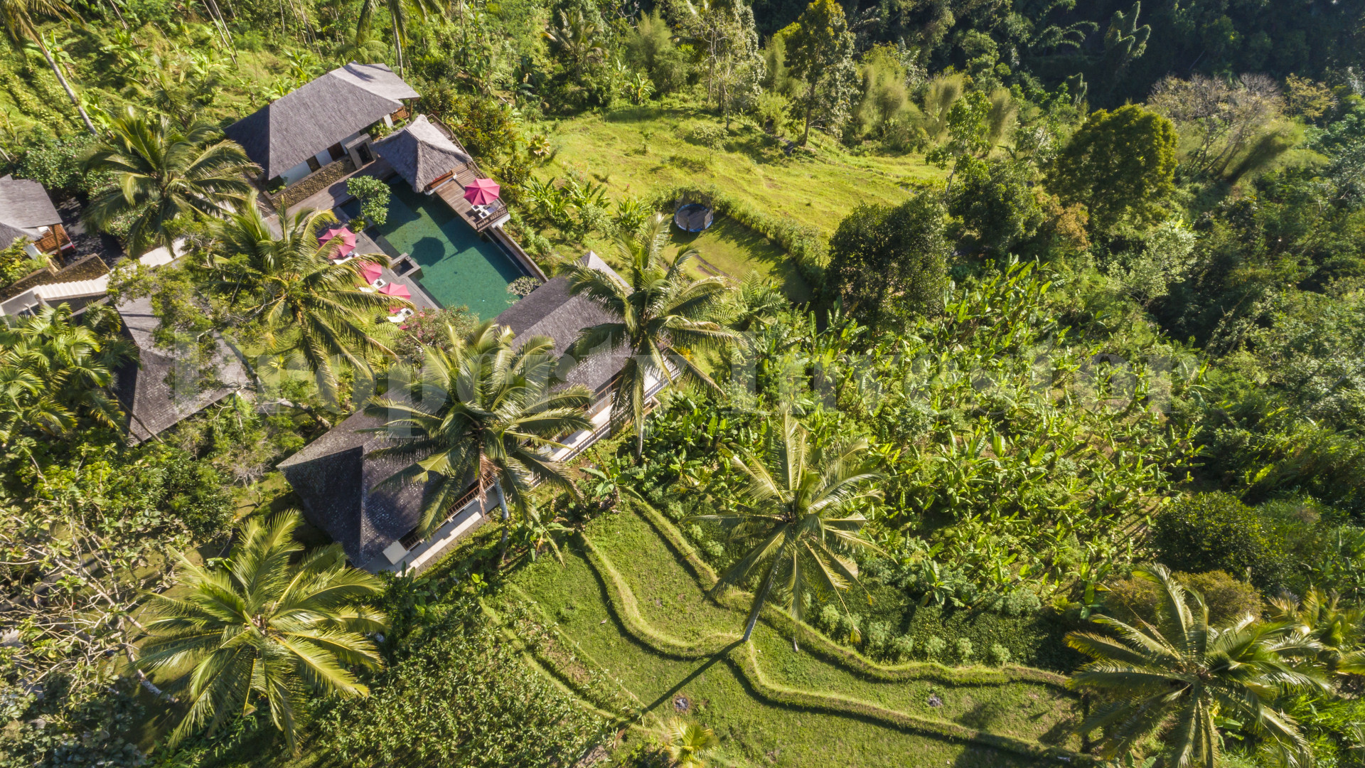 Exceptional 6 Bedroom Estate with Stunning Jungle & Valley Views for Sale in North-Ubud, Bali