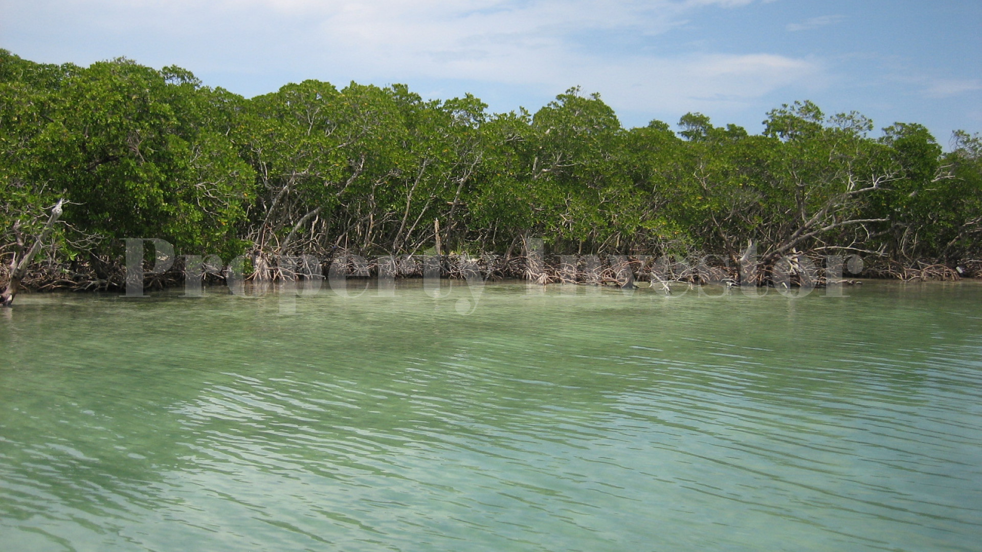 Morgan's Caye — 32 Acres of Private Virgin Island for Sale in Belize