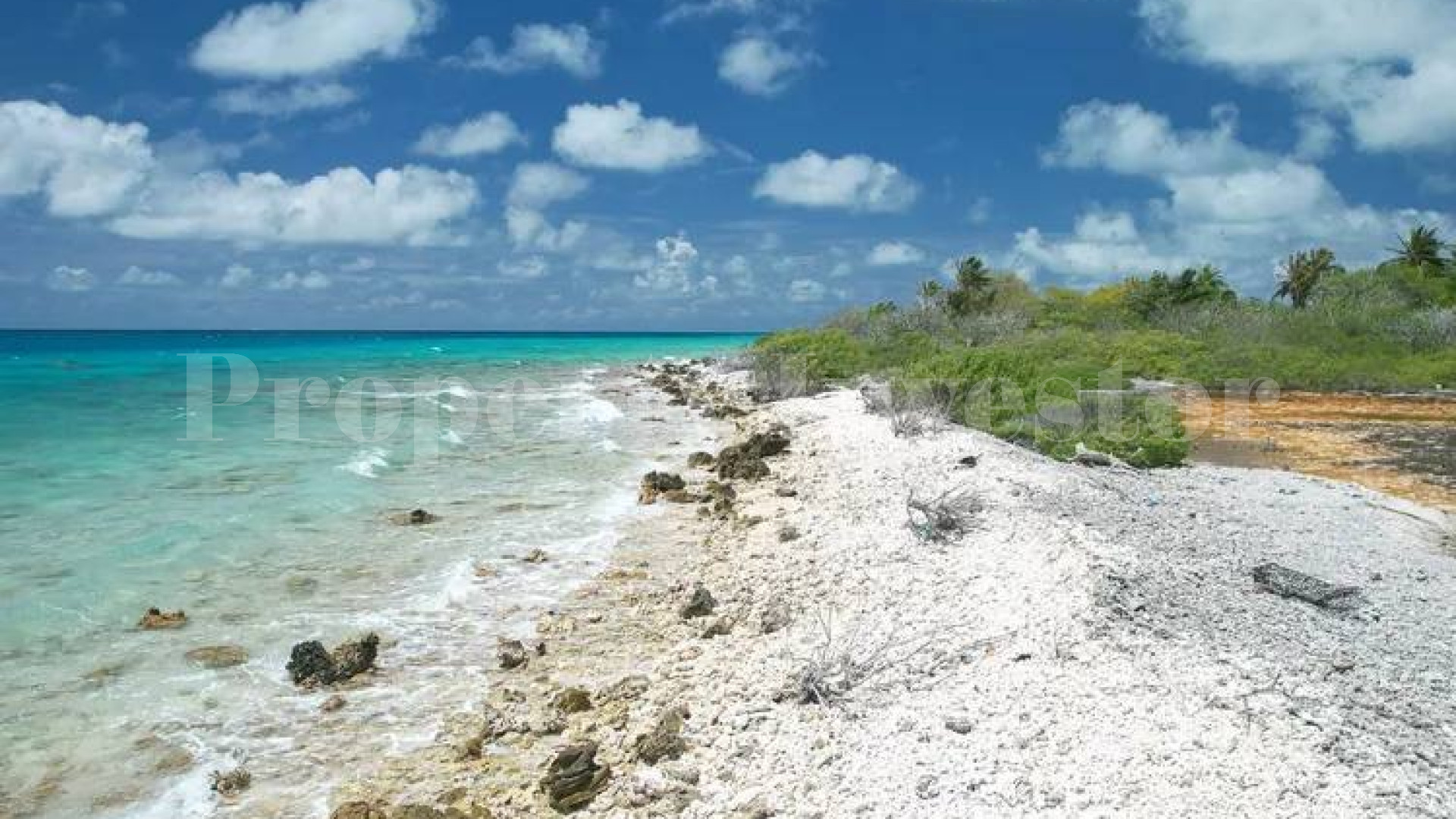 Approximately 11 Hectares of Pristine Private Virgin Island for Sale in Arutua, French Polynesia