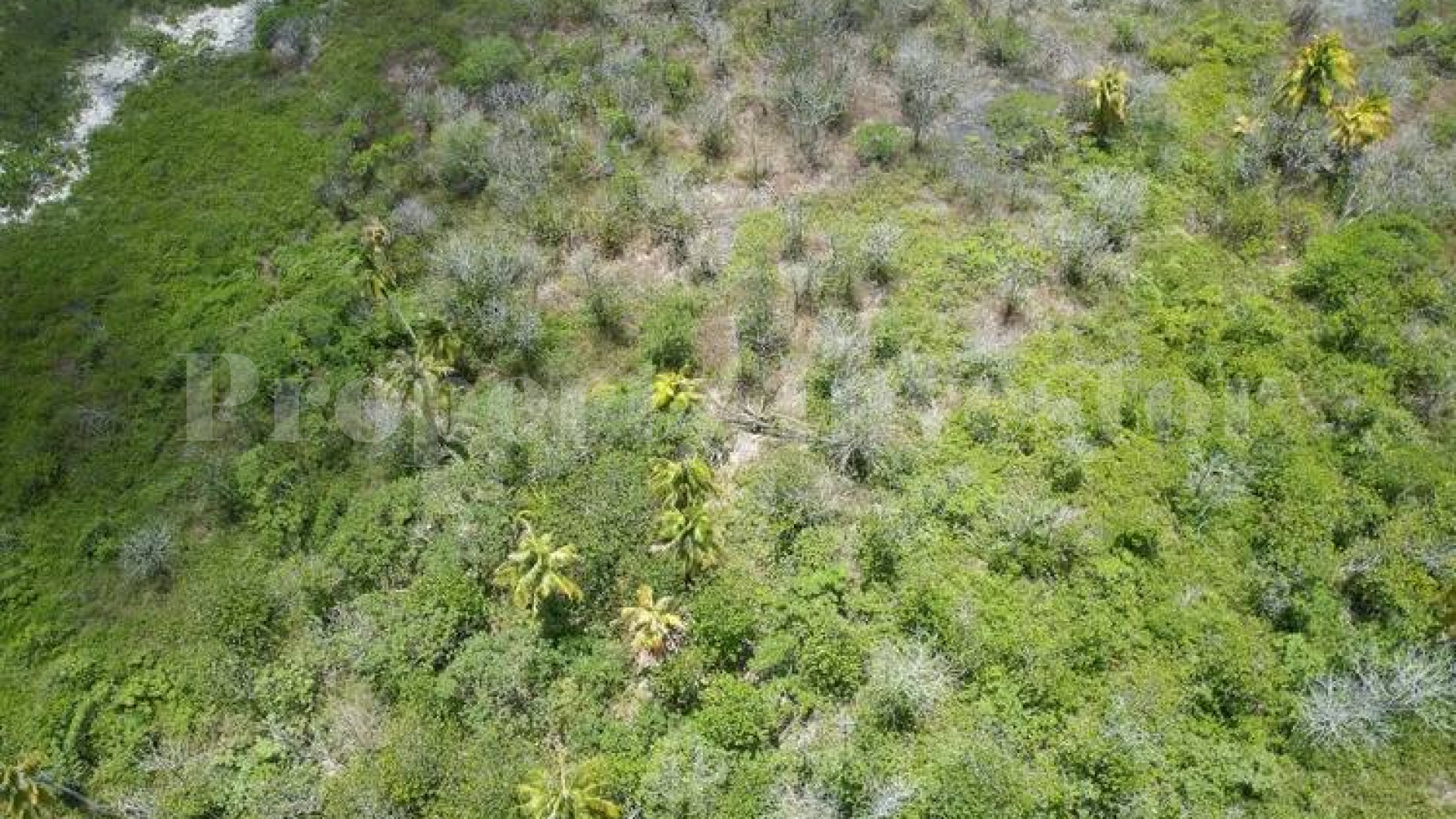 Approximately 11 Hectares of Pristine Private Virgin Island for Sale in Arutua, French Polynesia