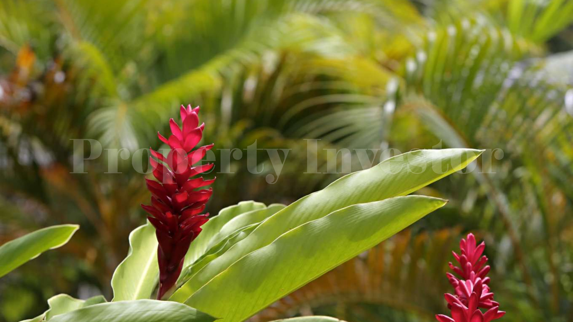 Spectacular 242 Hectare Private Island & Residence for Sale in Fiji