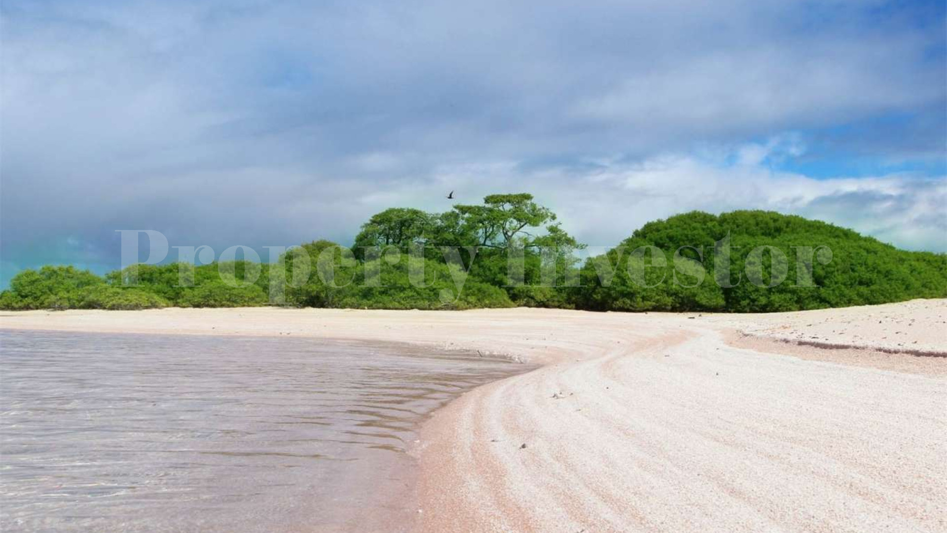 Beautiful 0.7 Hectare Virgin Island for Sale in French Polynesia