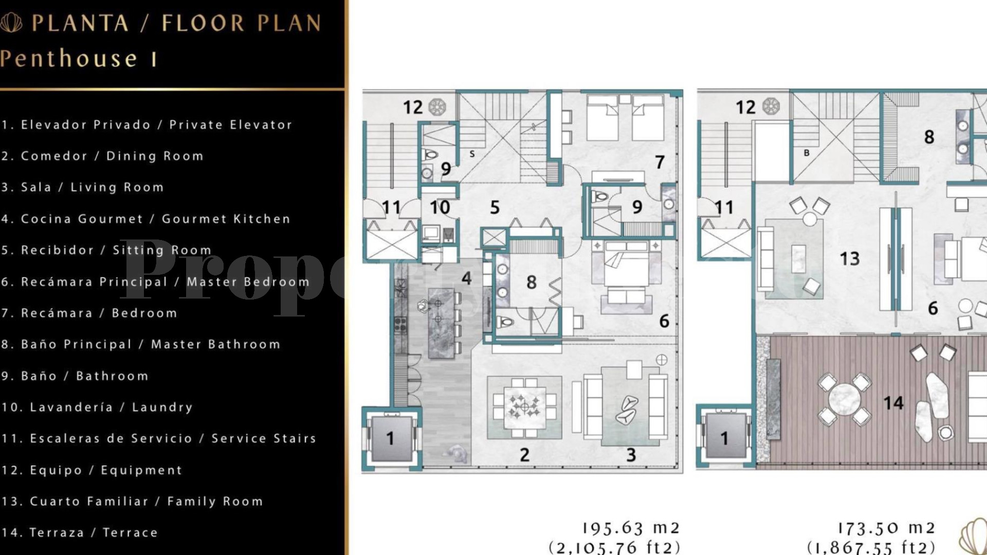 Exclusive 3 Bedroom Penthouse in Playa Del Carmen (Penthouse 1)