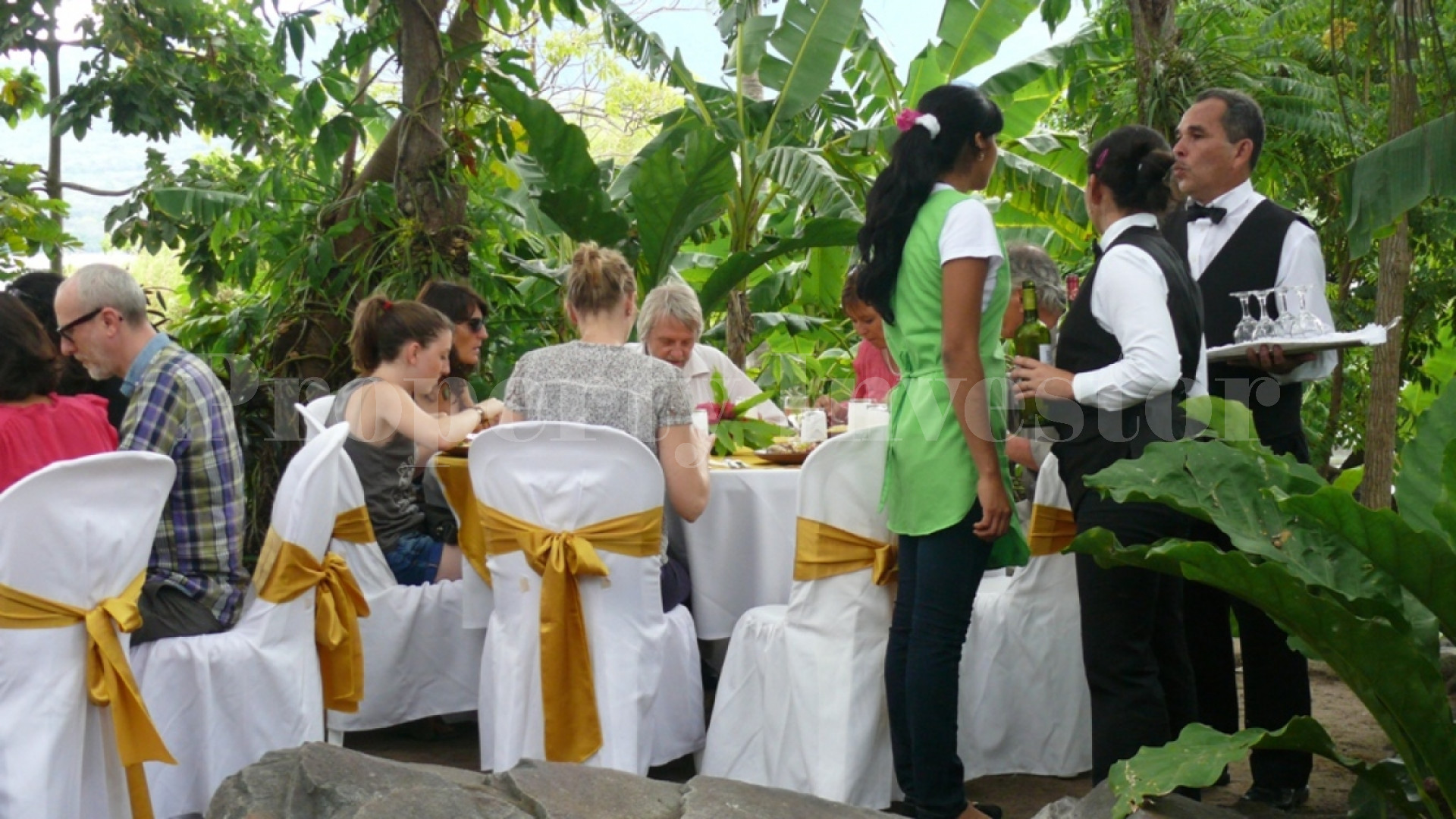 Zopango Orchids Island — Self-Sufficient 2 Acre Private Eco Island for Sale in Lake Cocibolca, Nicaragua