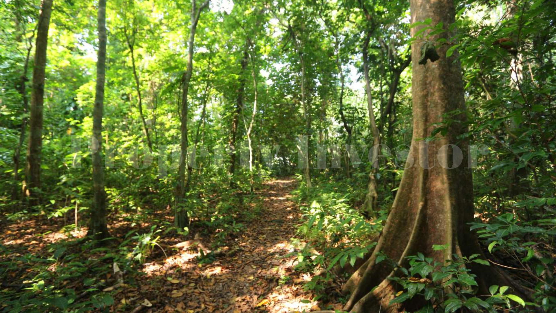 Wonderfully Lush 10.6 Hectare Private Island with Residence for Sale in Vanuatu