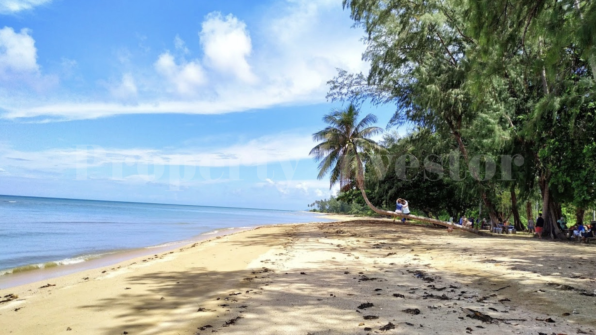 Большой тропический остров 192 гектара под коммерческое развитие или частную резиденцию в Тайланде