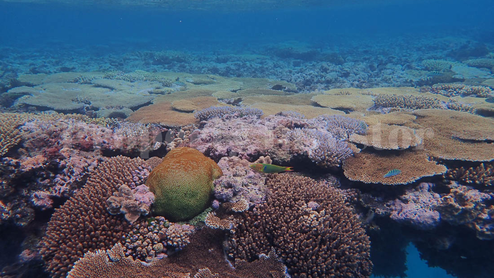 Absolutely Sublime 13 Hectare Private Virgin Island with Incredible Lagoons for Sale in Tonga