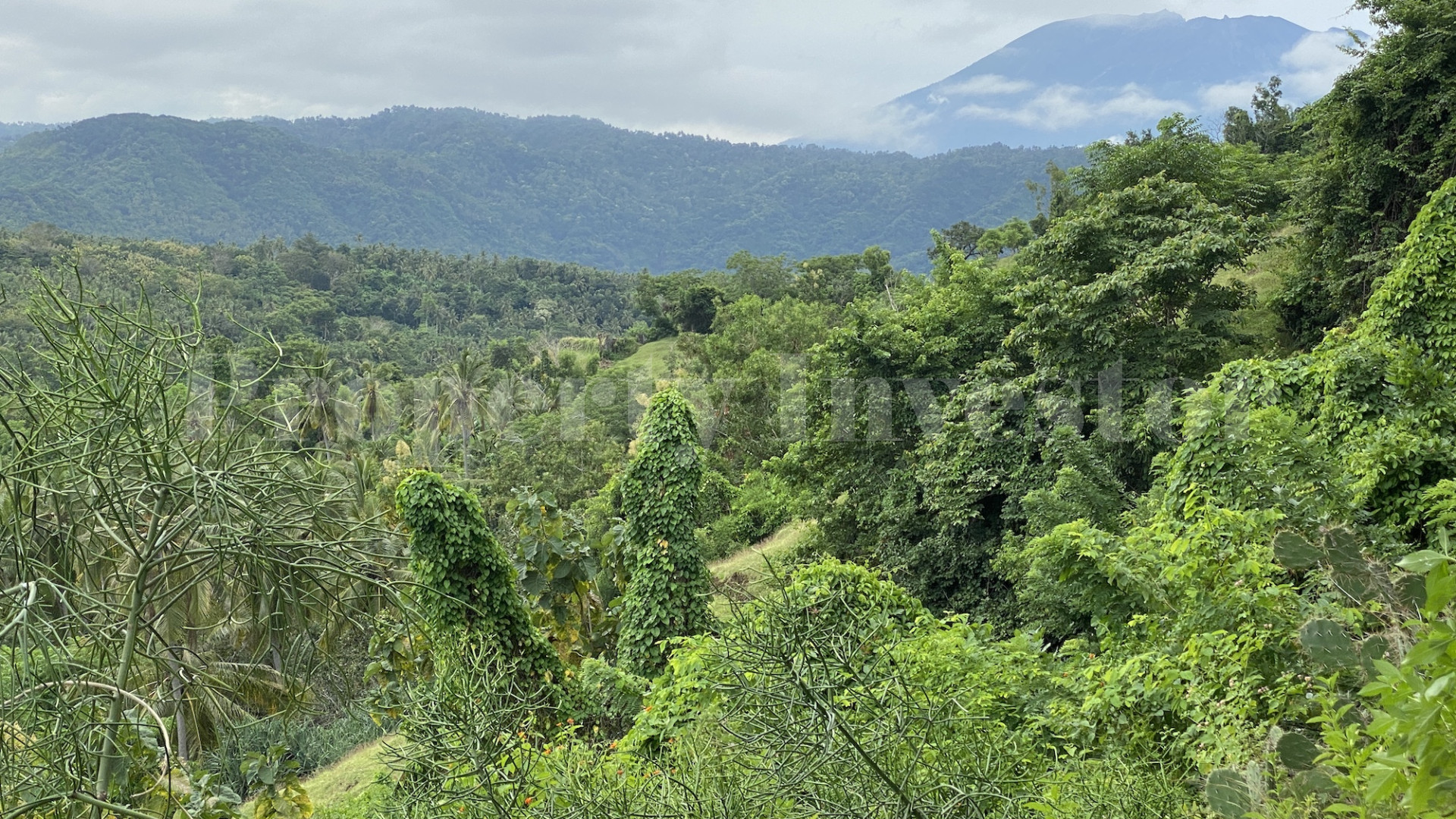 Approximately 8,800 m² of Sea View Land for Residential Development in Candidasa, Bali