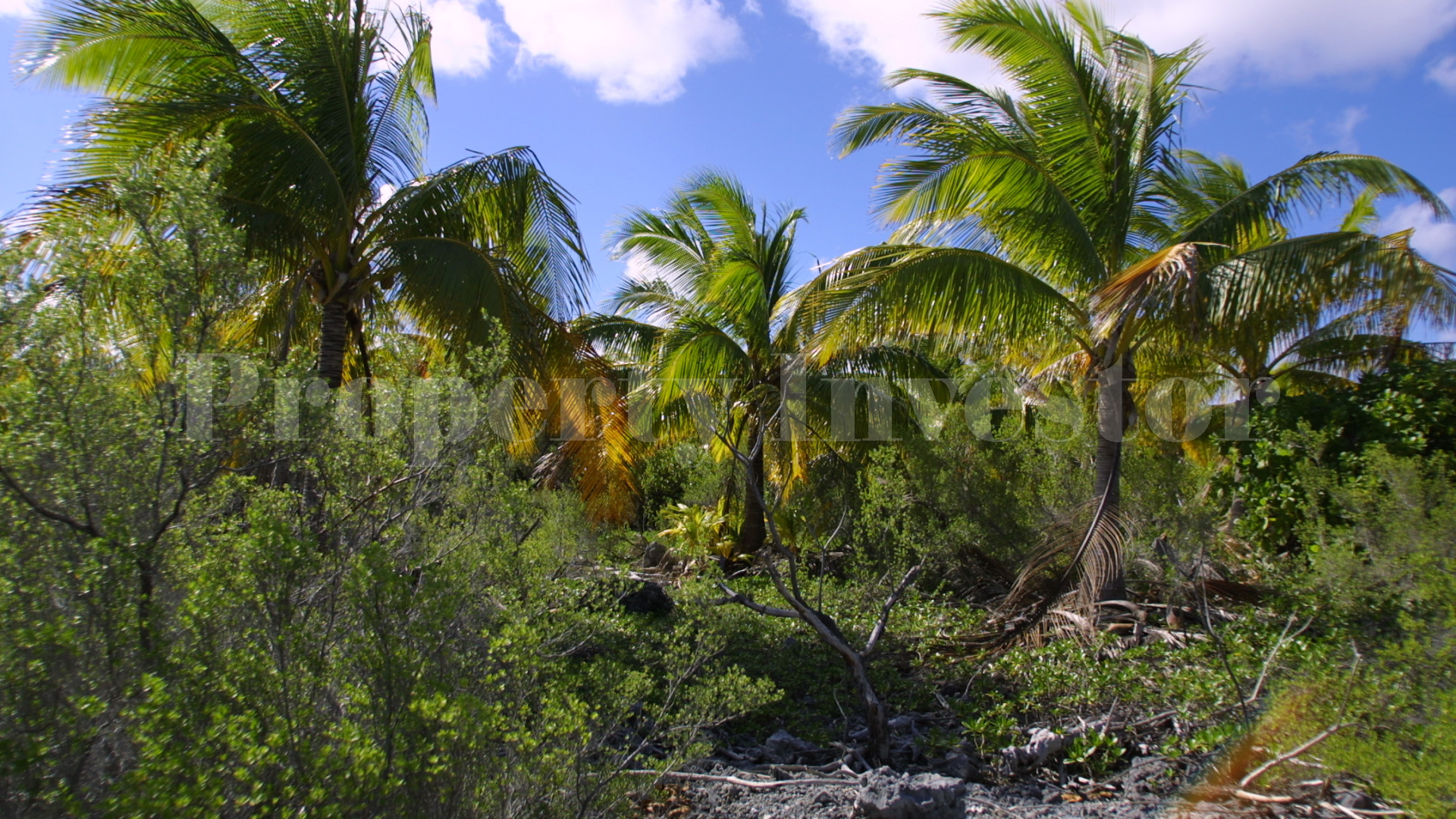 Secluded 12+ Hectare Private Virgin Island Paradise for Sale in Arutua Atoll, French Polynesia