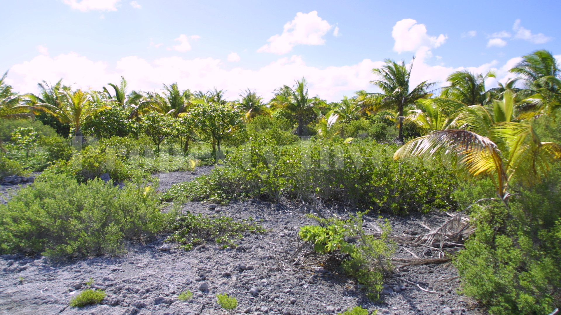 Secluded 12+ Hectare Private Virgin Island Paradise for Sale in Arutua Atoll, French Polynesia