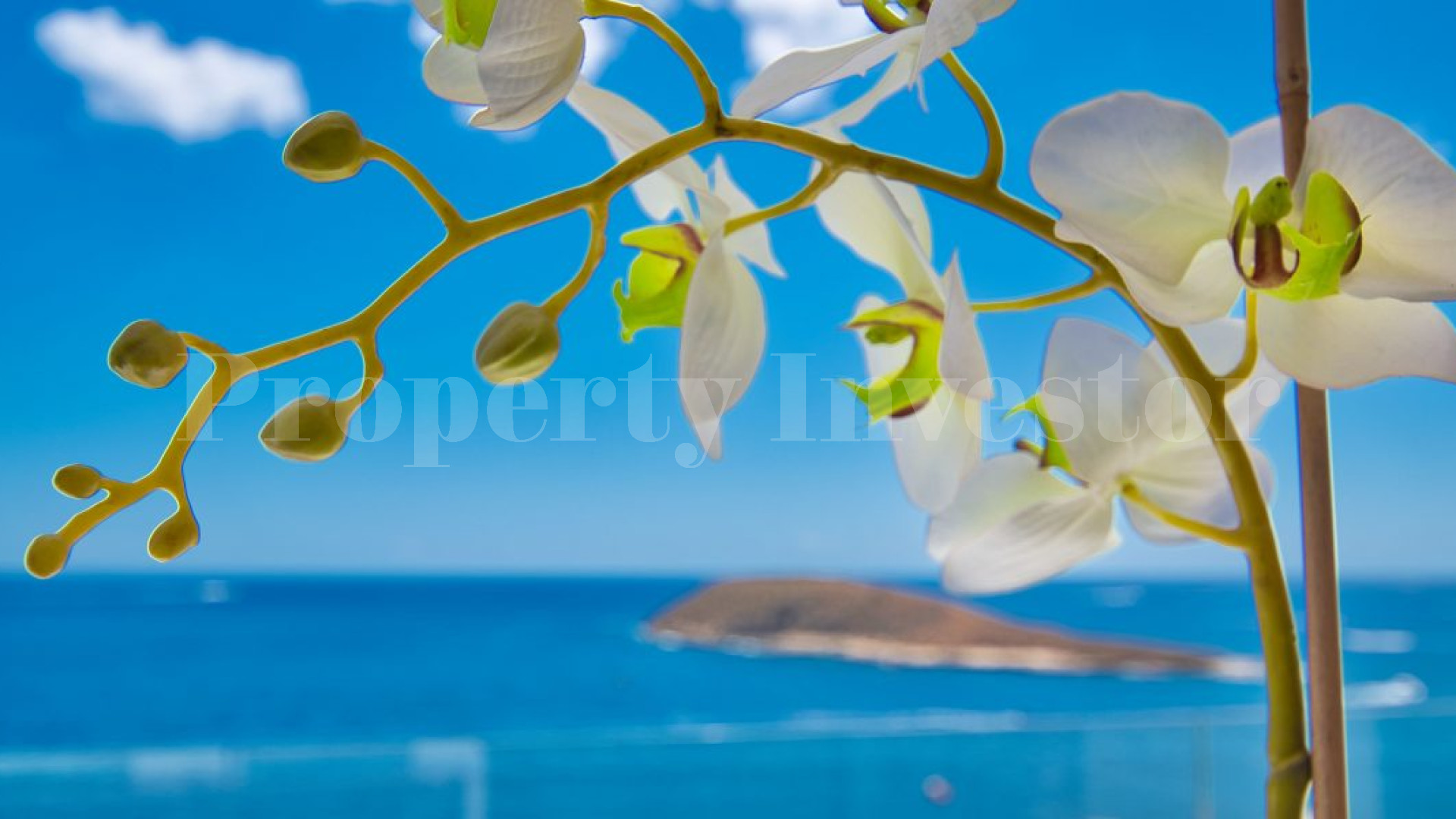 Luxury 2 Bedroom Sea View Apartment on First Line Near Palma