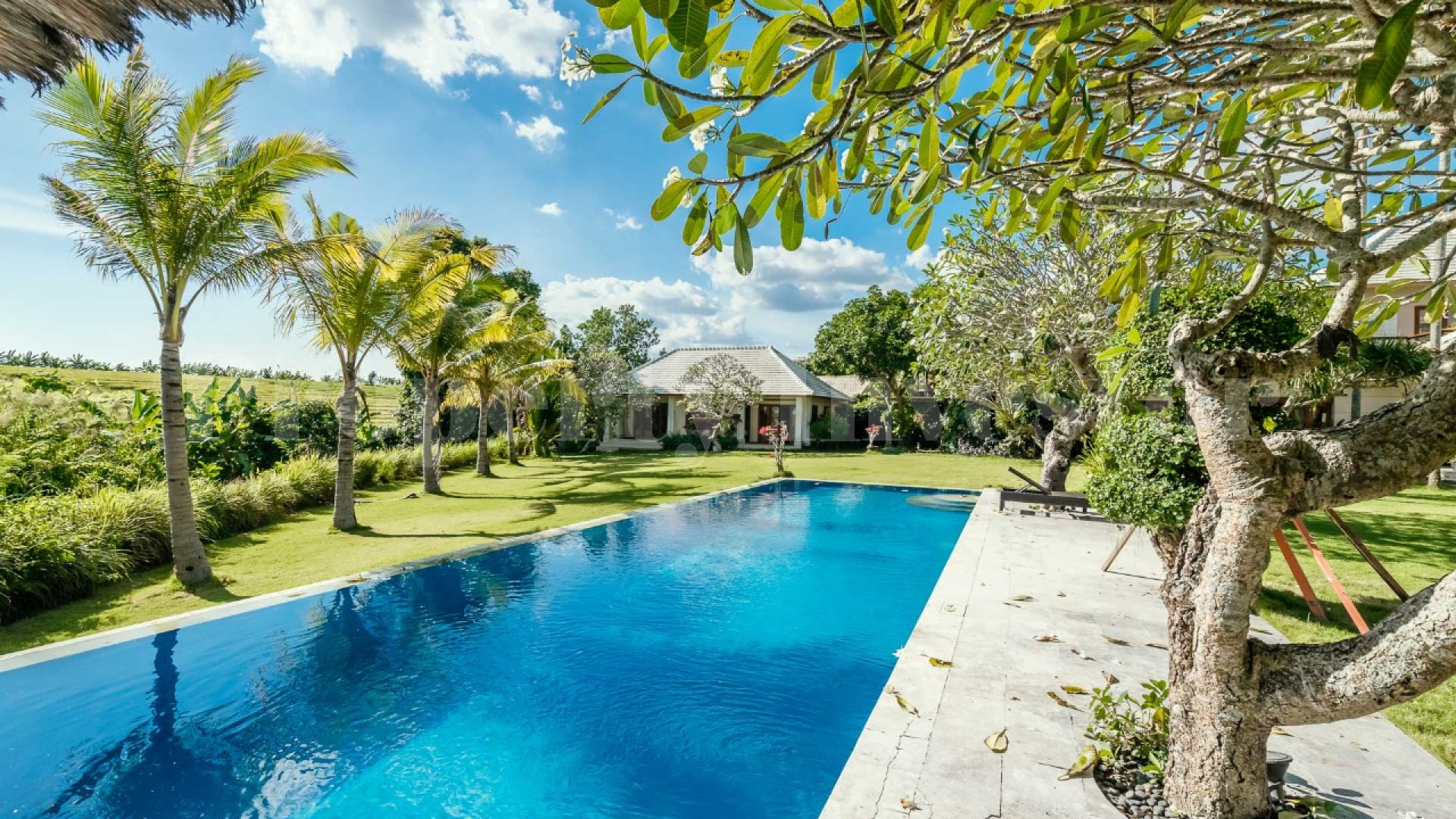 Spacious 6 Bedroom Modern Villa with Lush Gardens & Amazing Sunset Views for Sale in Pererenan, Bali