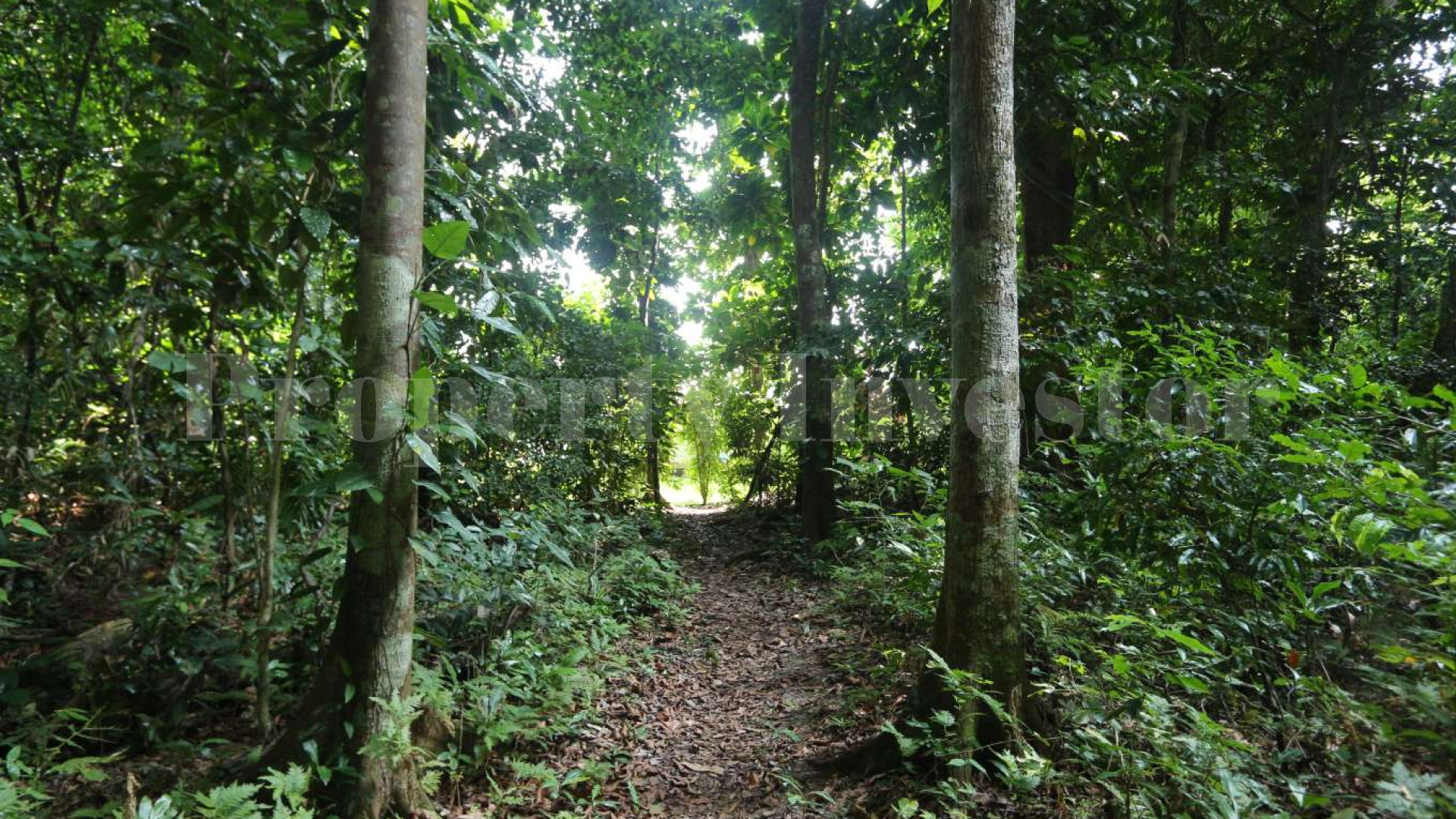Wonderfully Lush 10.6 Hectare Private Island with Residence for Sale in Vanuatu