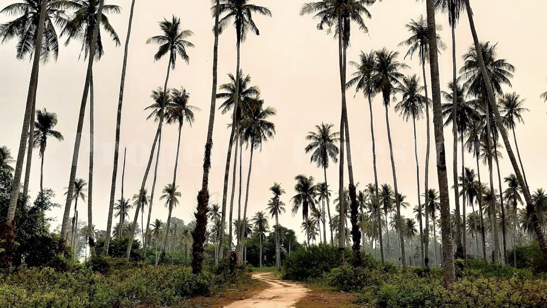 Большой тропический остров 192 гектара под коммерческое развитие или частную резиденцию в Тайланде
