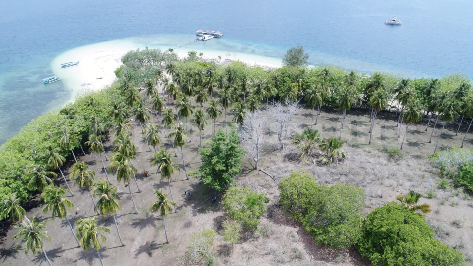 14.9 Hectare Private Virgin Island for Sale Near Lombok, Indonesia