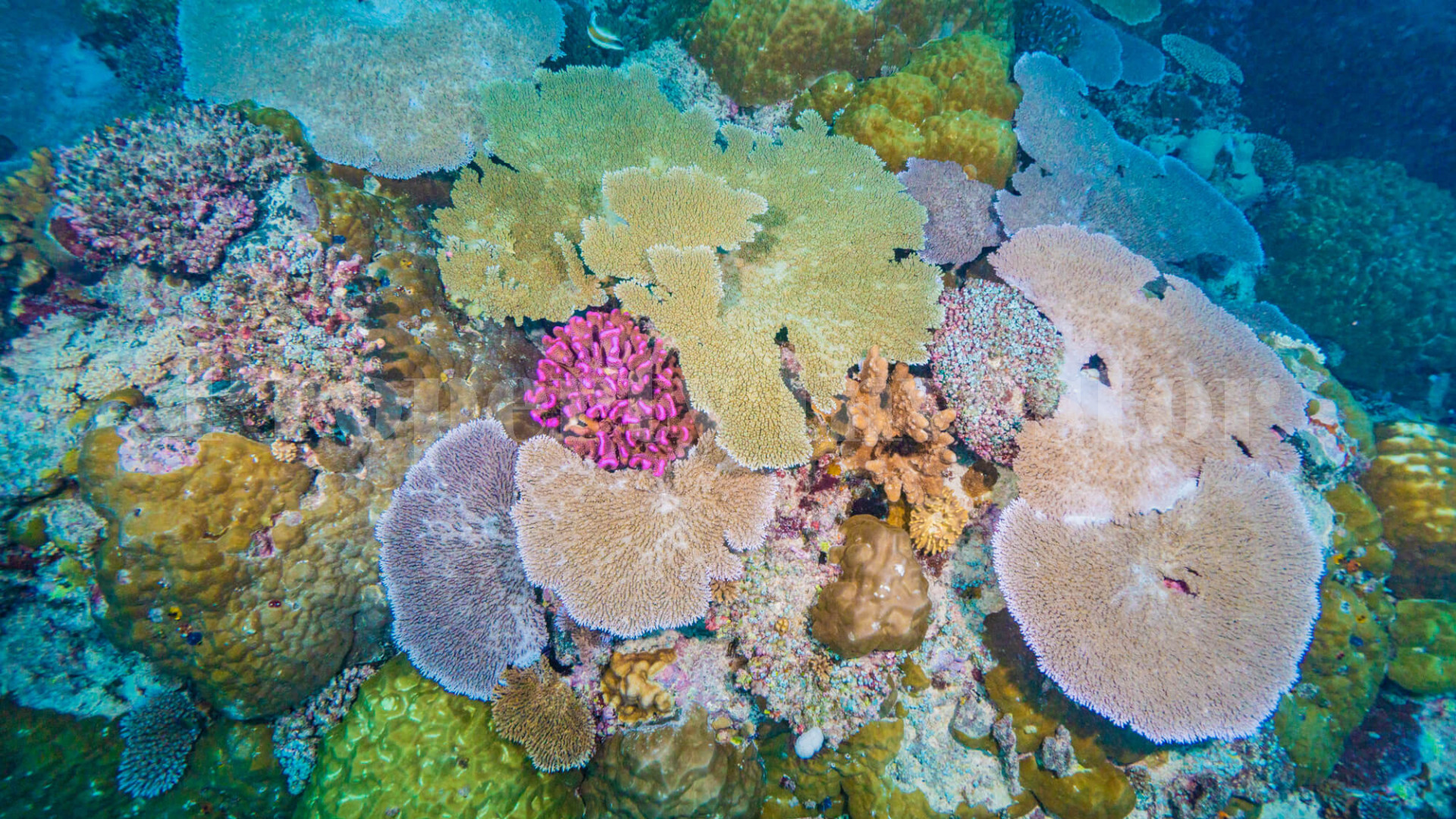 Majestic 108 Hectare Private Island for Sale in Vanuatu