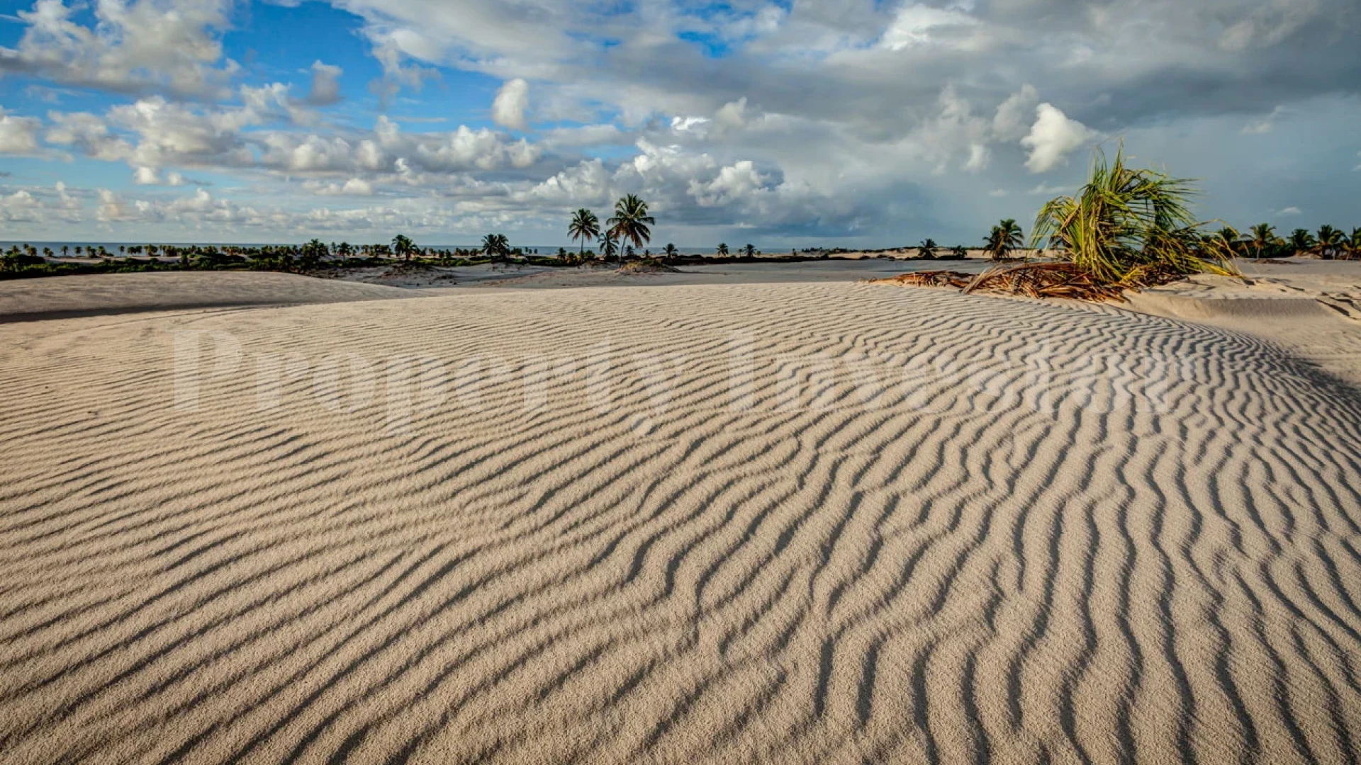 Продаётся уникальный роскошный ретрит у пляжа среди кокосового оазиса на 6 номеров на участке земли 30 гектаров в Баия, Бразилия
