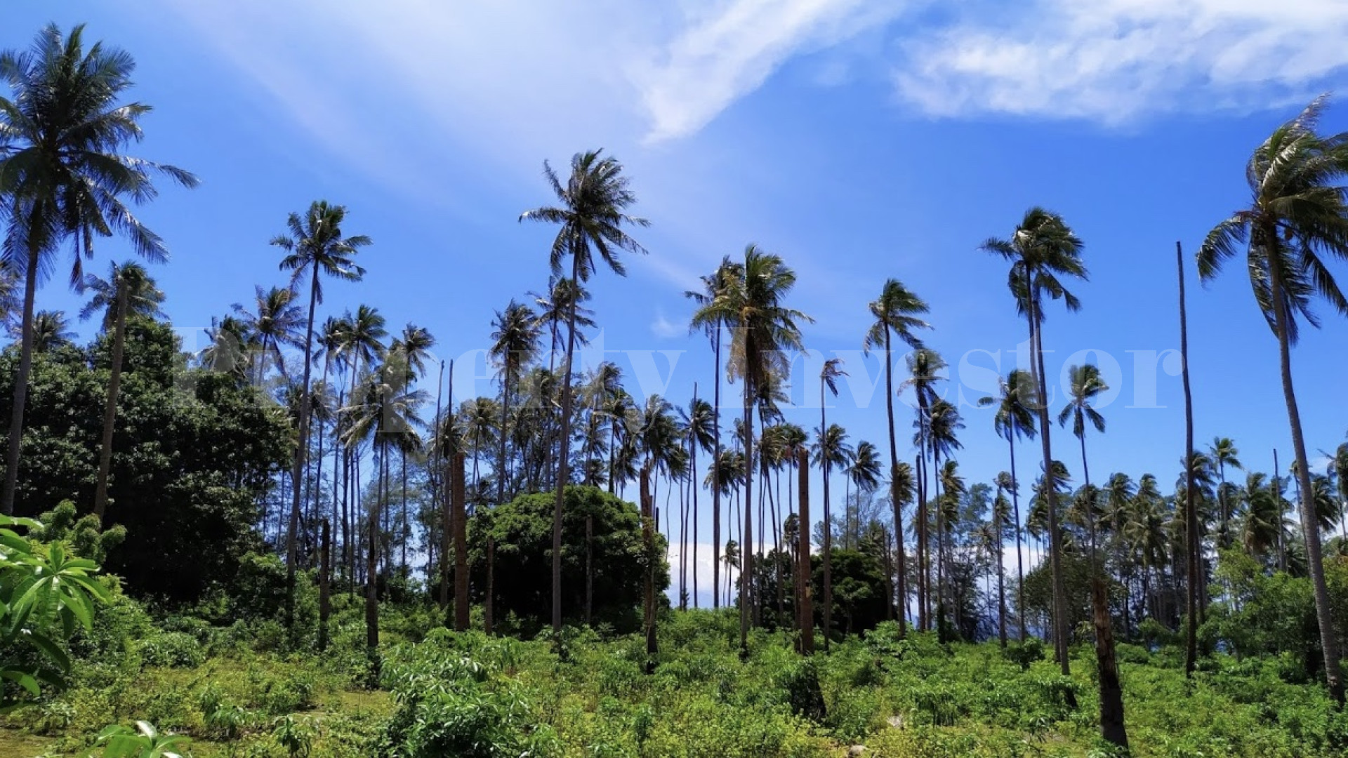 Большой тропический остров 192 гектара под коммерческое развитие или частную резиденцию в Тайланде