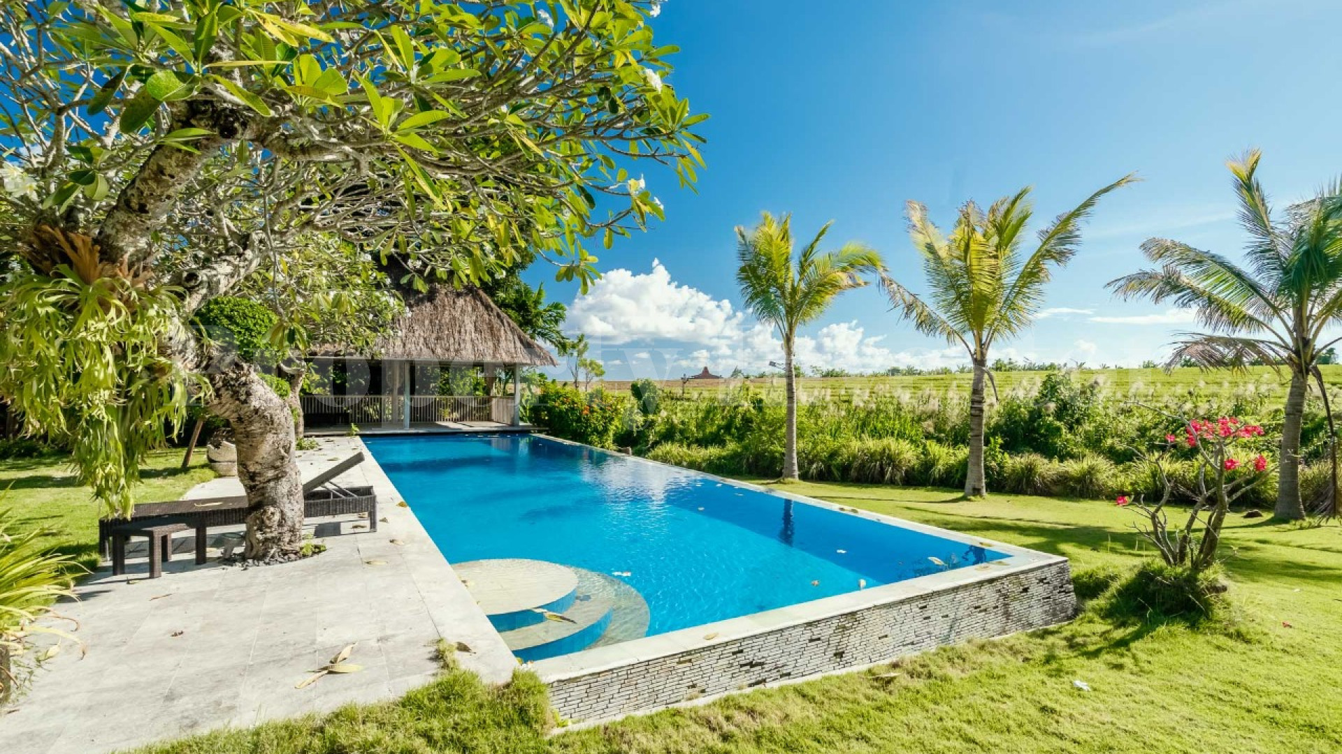 Spacious 6 Bedroom Modern Villa with Lush Gardens & Amazing Sunset Views for Sale in Pererenan, Bali