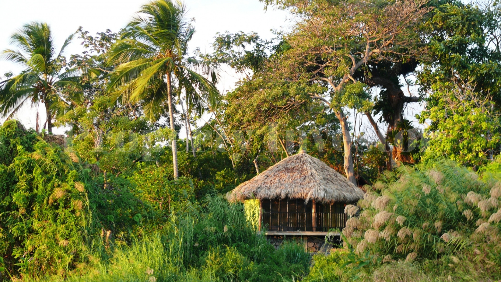 Zopango Orchids Island — Self-Sufficient 2 Acre Private Eco Island for Sale in Lake Cocibolca, Nicaragua