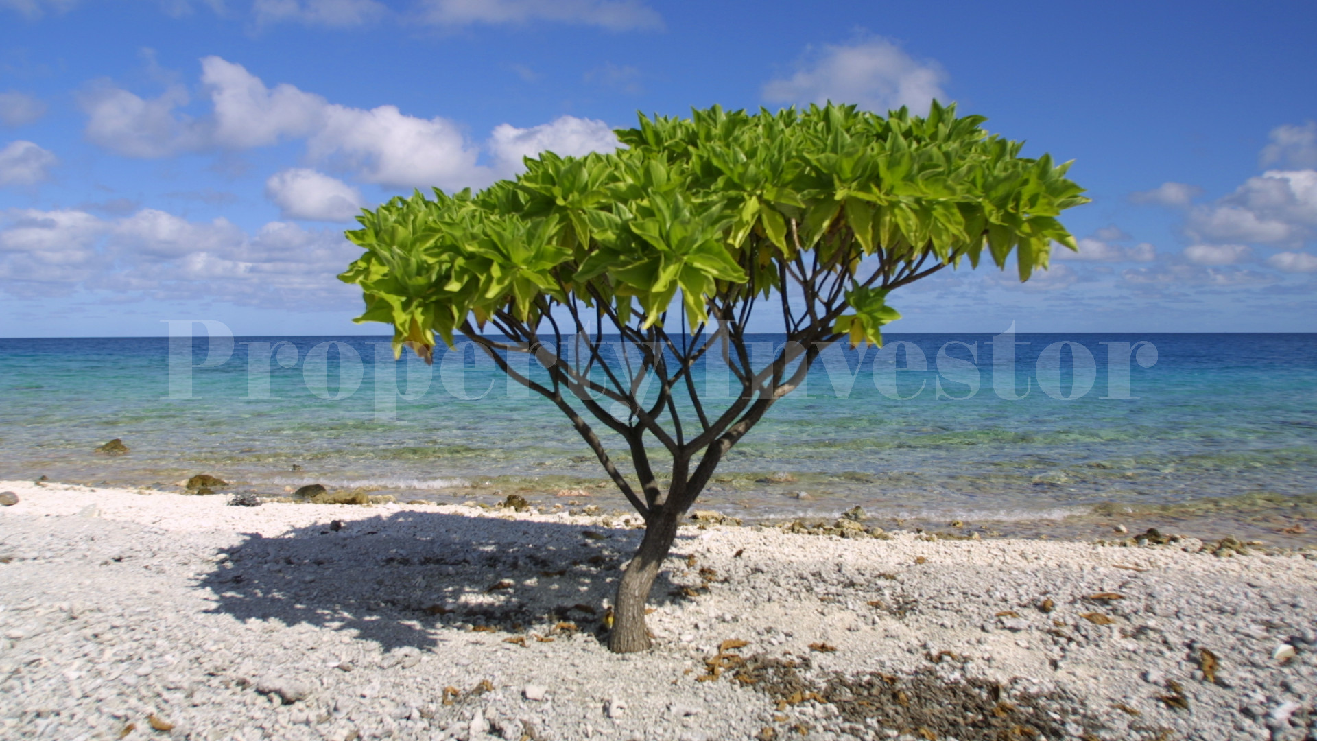 Secluded 12+ Hectare Private Virgin Island Paradise for Sale in Arutua Atoll, French Polynesia