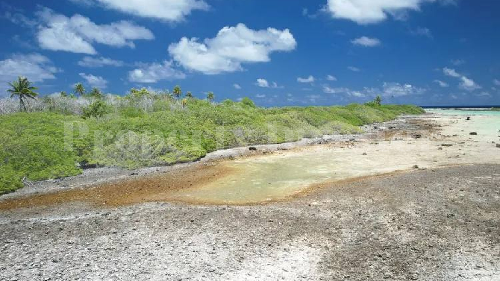 Approximately 11 Hectares of Pristine Private Virgin Island for Sale in Arutua, French Polynesia