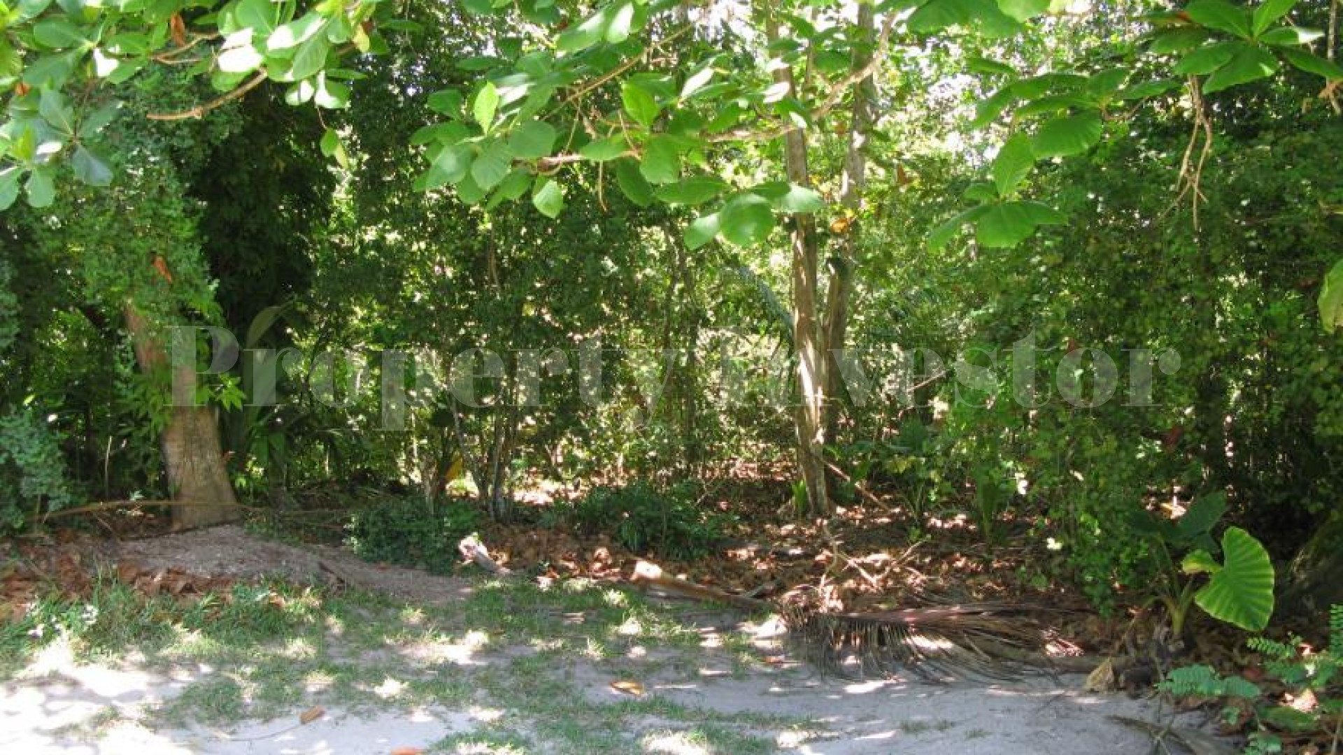 0.3 Hectare Piece of Paradise for Sale in La Digue, Seychelles